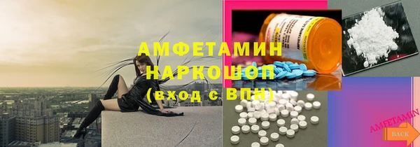 a pvp Пересвет