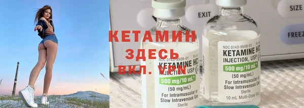 a pvp Пересвет