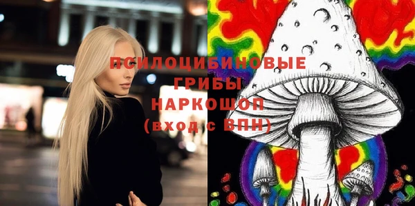 a pvp Пересвет