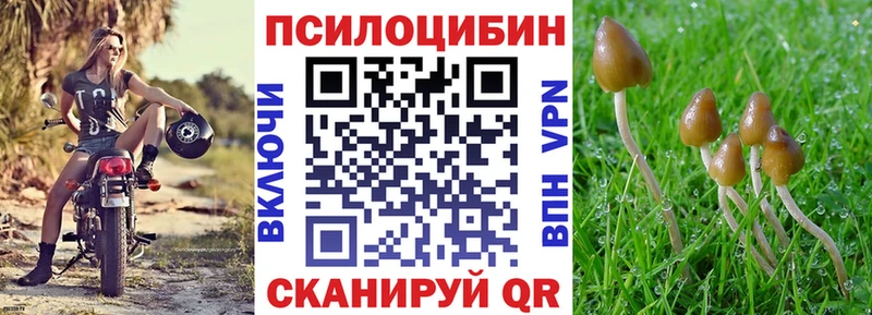 Галлюциногенные грибы Psilocybe  Хилок 